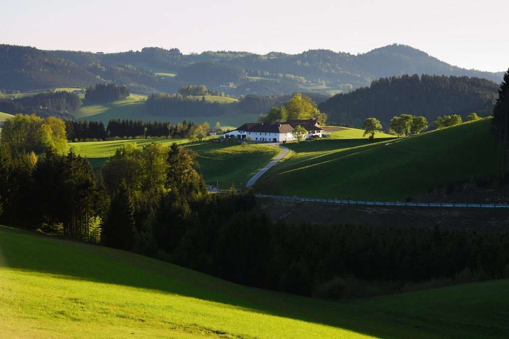 Mühlviertler Speckknödel 4 Mühlviertel