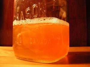 Kombucha fermentiert