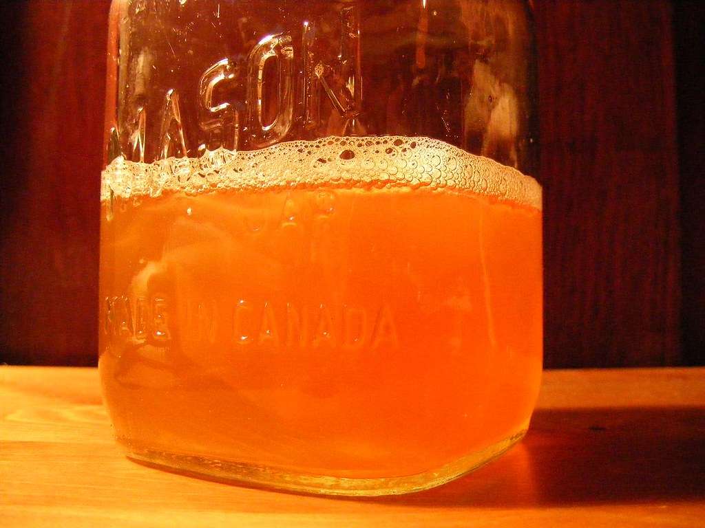 Das Fermentieren von Lebensmitteln 2 Kombucha fermentieren